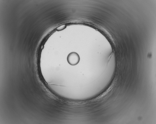 X0000116651122201001111223