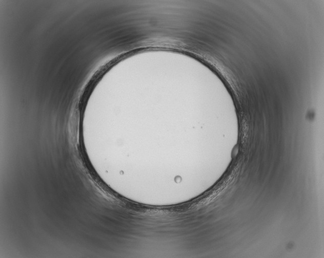 X0000116651123201001111223