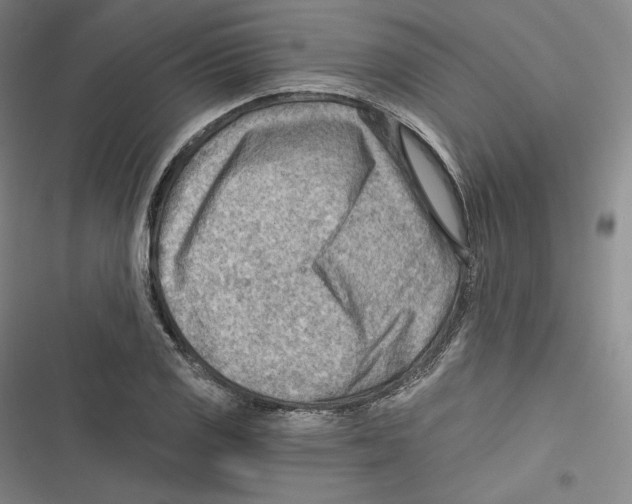 X0000116651125201001111223