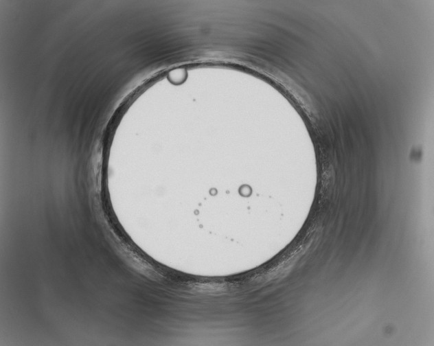 X0000116651126201001111223