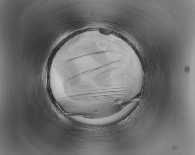 X0000116651127201001111223