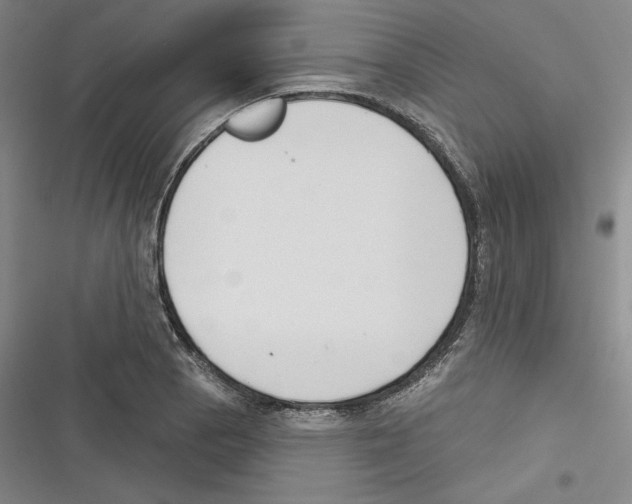 X0000116651129201001111223