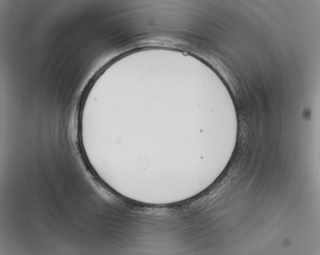 X0000116651131201001111223