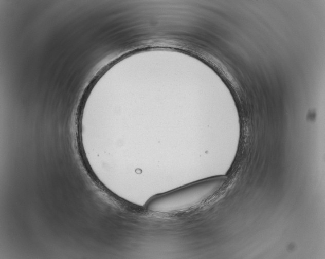 X0000116651133201001111223