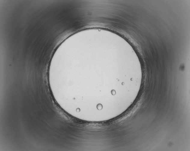 X0000116651137201001111223