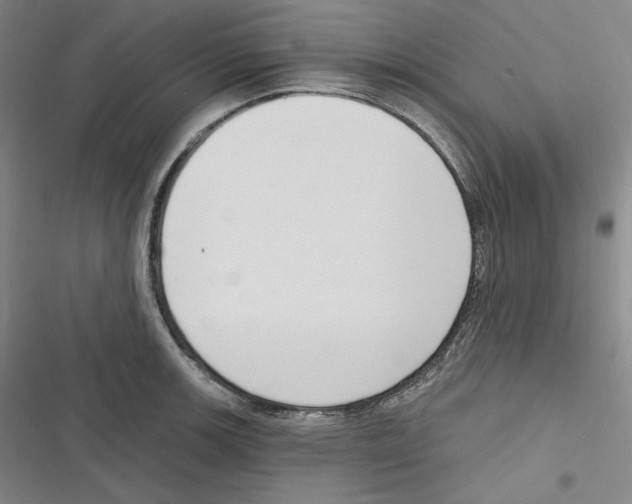 X0000116651139201001111223