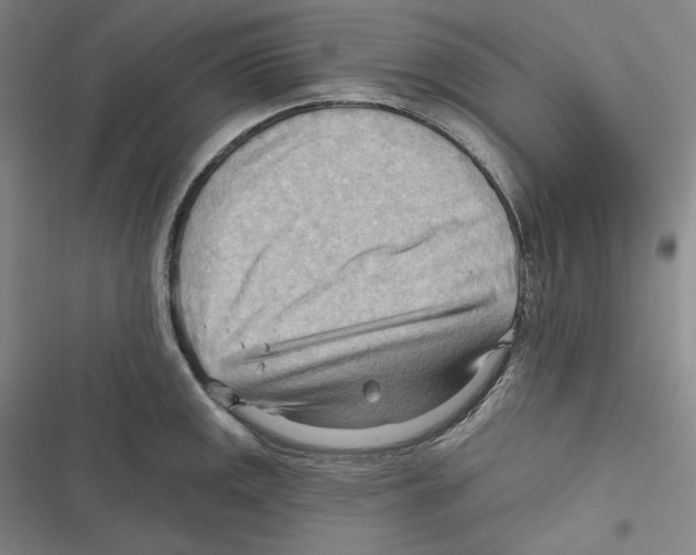 X0000116651141201001111223