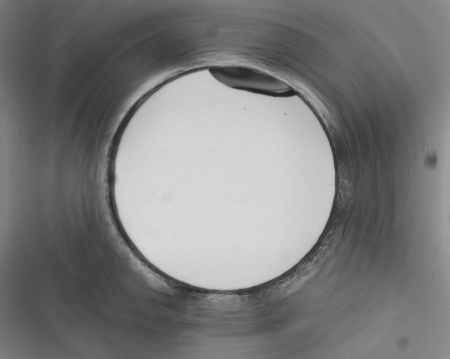 X0000116651142201001111223