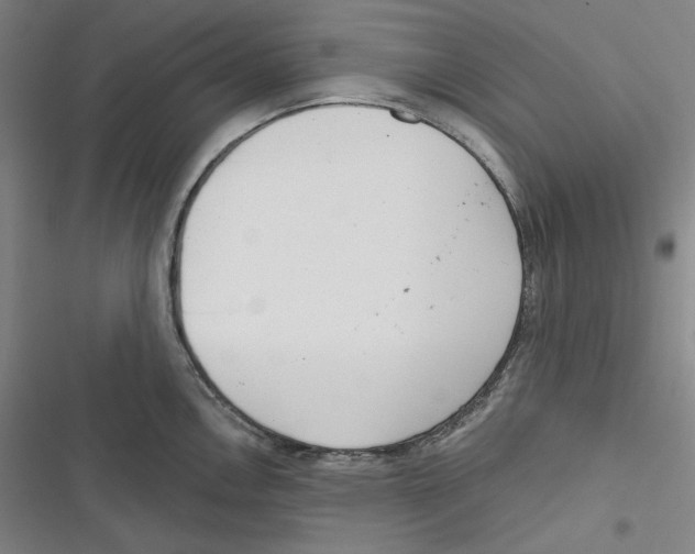 X0000116651146201001111224