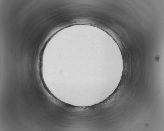 X0000116651147201001111224