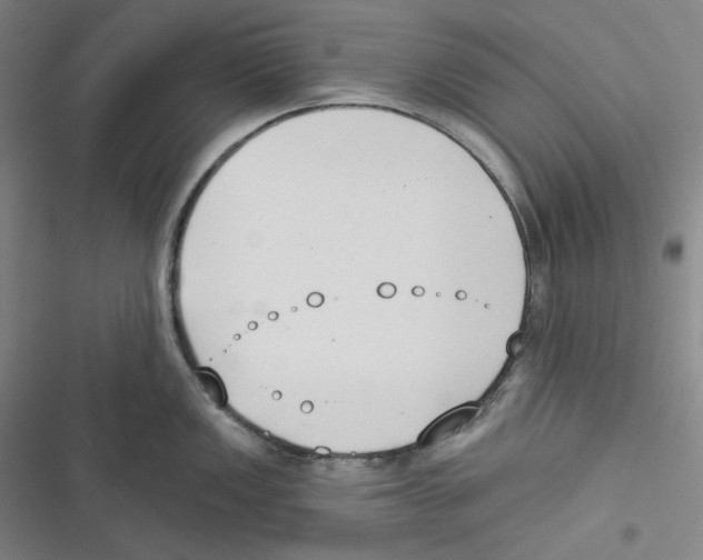 X0000116651149201001111224