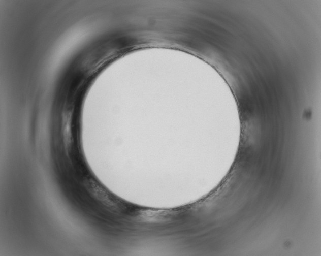 X0000116651150201001111224