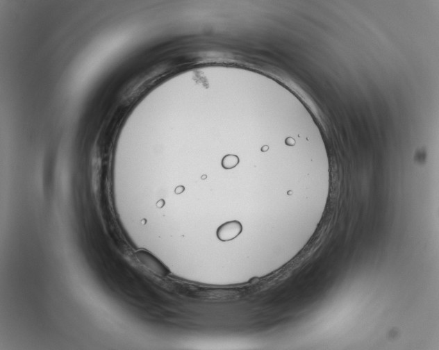 X0000116651151201001111224