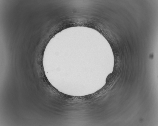 X0000116651153201001111223