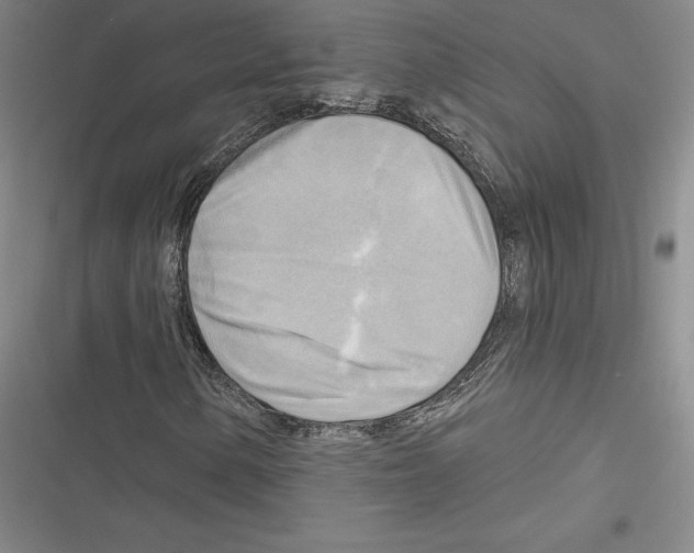 X0000116651154201001111223