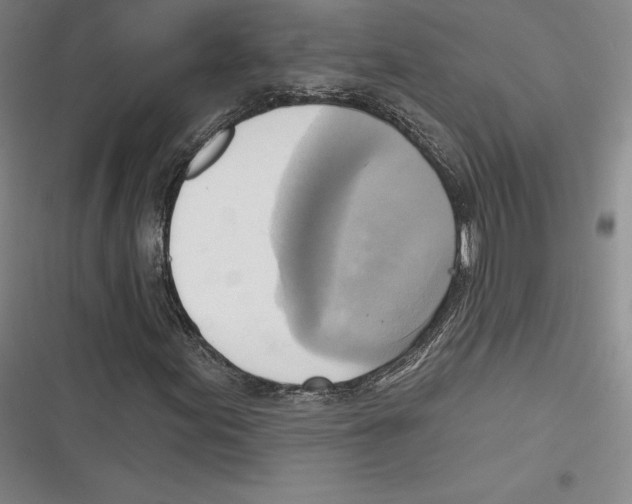 X0000116651155201001111223