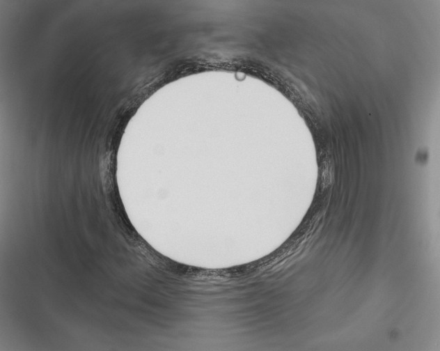 X0000116651156201001111223