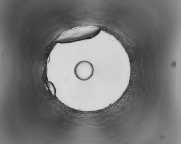 X0000116651157201001111223