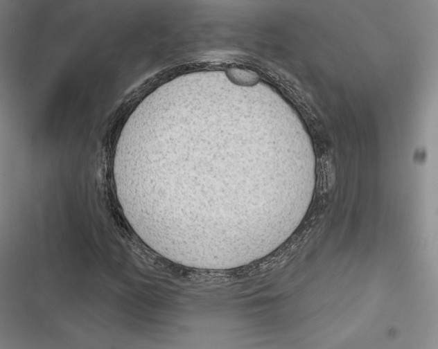 X0000116651158201001111223