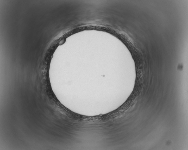 X0000116651159201001111223