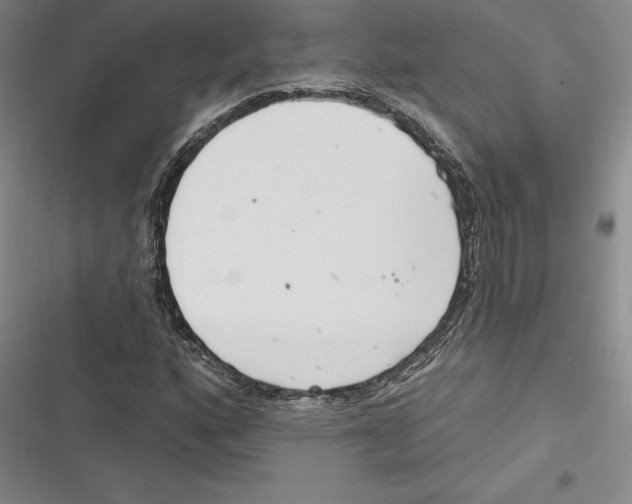 X0000116651160201001111223