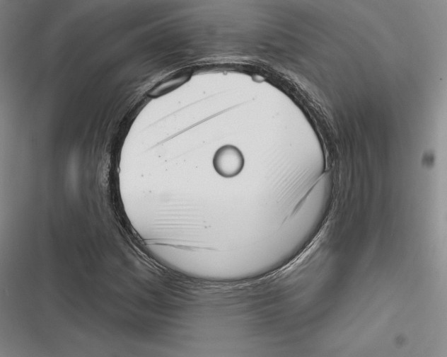 X0000116651161201001111223