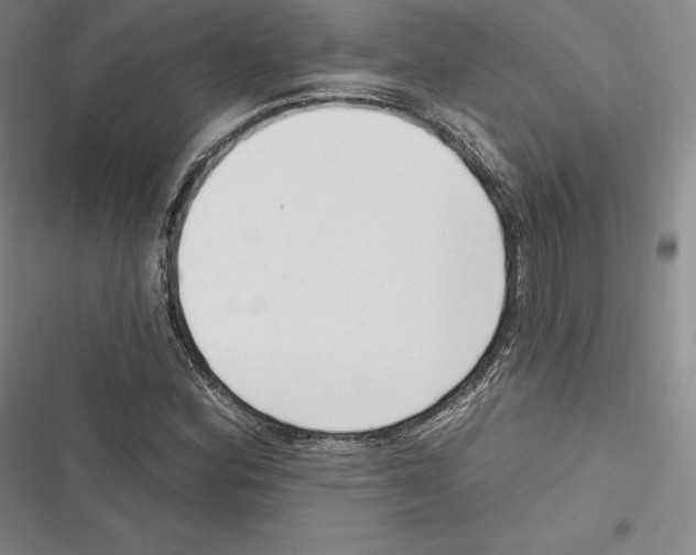 X0000116651164201001111223