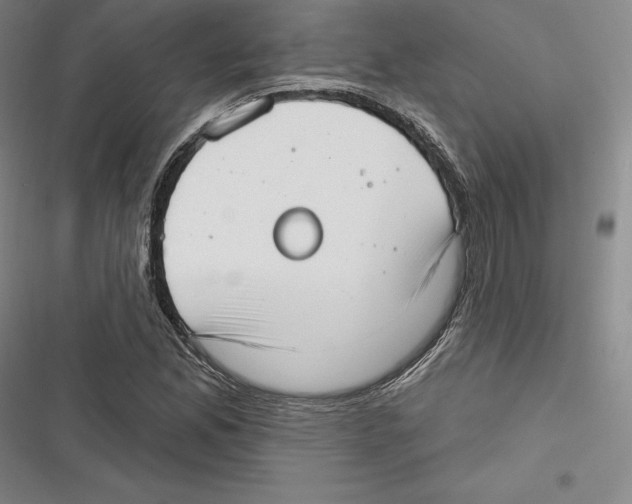 X0000116651165201001111223