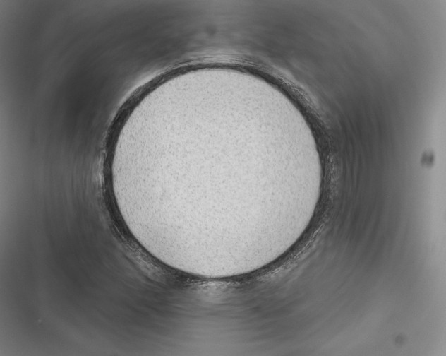 X0000116651166201001111223