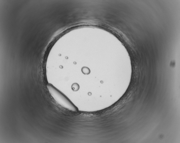 X0000116651168201001111223