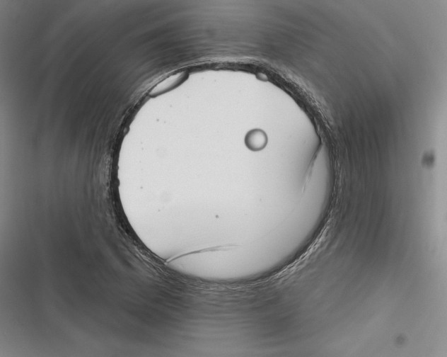 X0000116651169201001111223