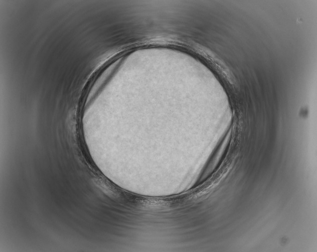 X0000116651170201001111223