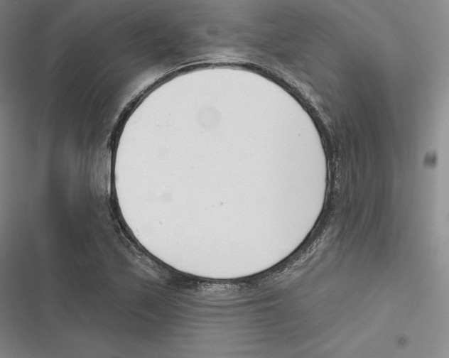 X0000116651171201001111223