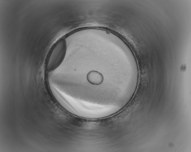 X0000116651173201001111223