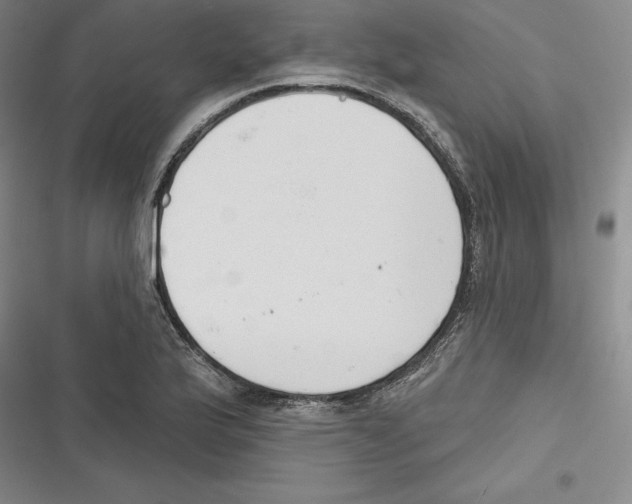 X0000116651175201001111223