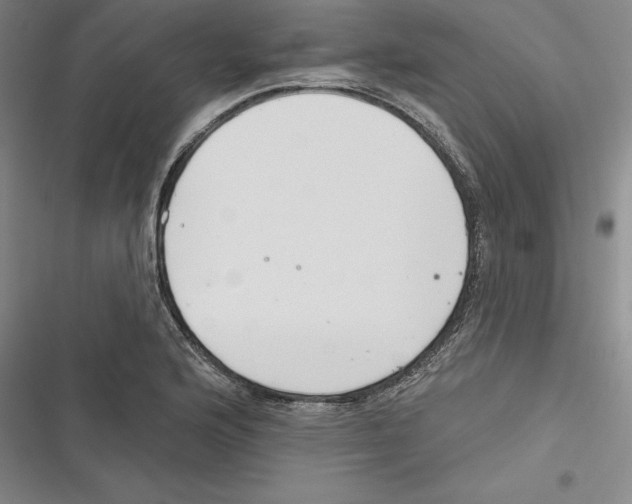 X0000116651176201001111223