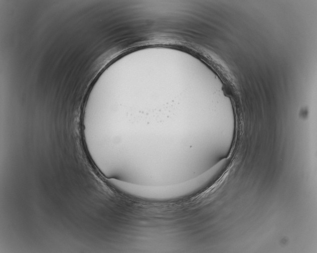 X0000116651177201001111223