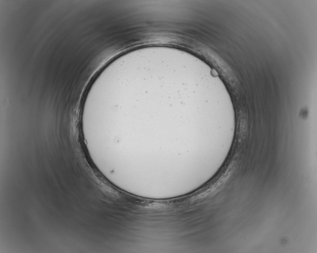 X0000116651178201001111223