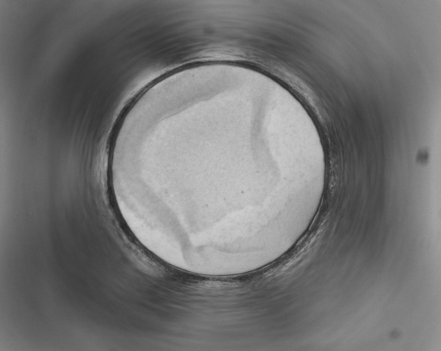 X0000116651179201001111223