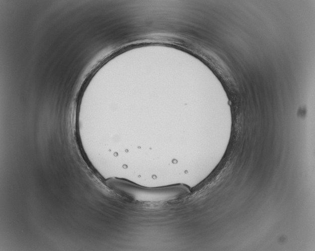 X0000116651180201001111223