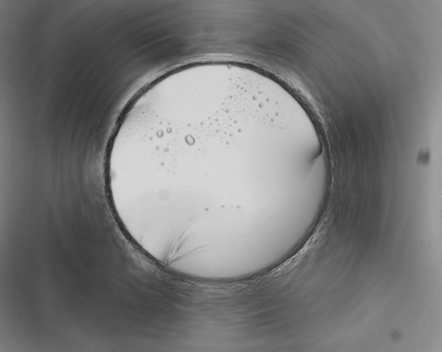 X0000116651181201001111223