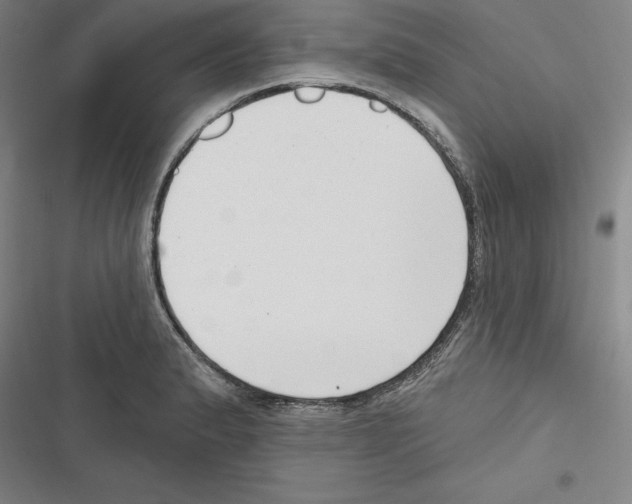 X0000116651183201001111223