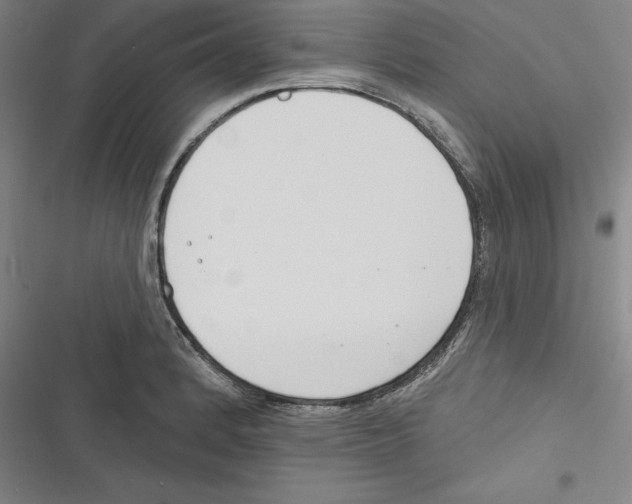 X0000116651184201001111223