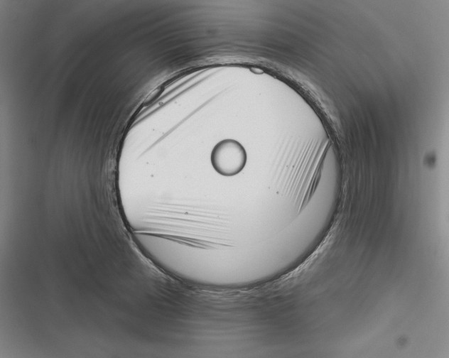 X0000116651185201001111223