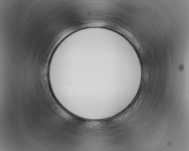 X0000116651186201001111222