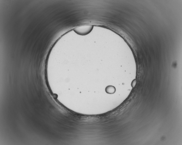 X0000116651187201001111222