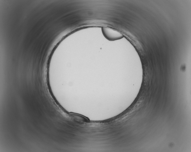 X0000116651188201001111222