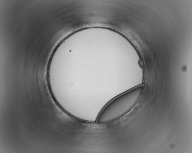 X0000116651189201001111222