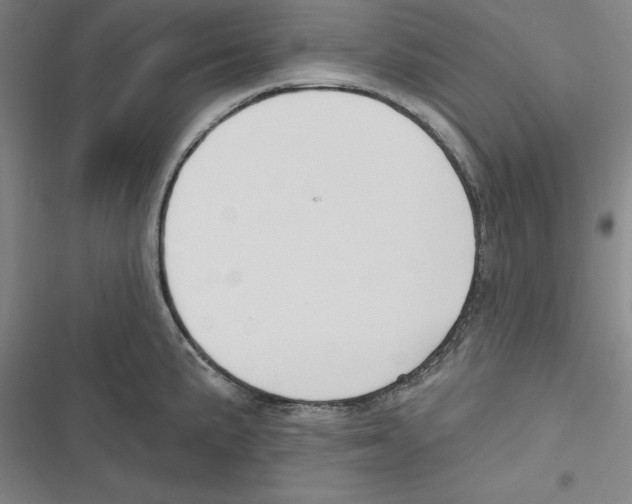 X0000116651191201001111222