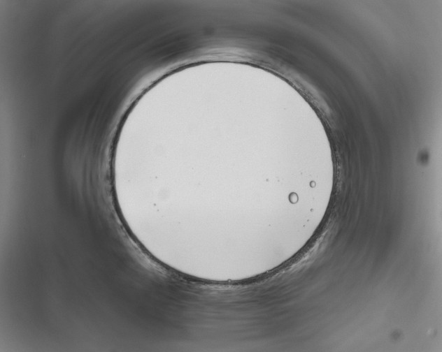 X0000116651192201001111222